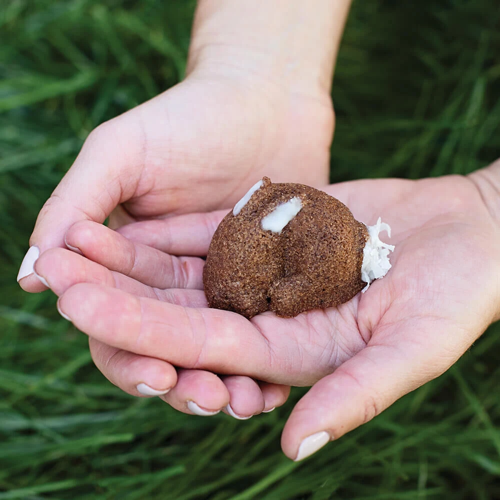 Nordic Ware Baby Bunny Bites Konijn Bakvorm 12 Stuks 4 Nordic Ware Baby Bunny Bites Konijn Bakvorm 12 Stuks - Afbeelding 2